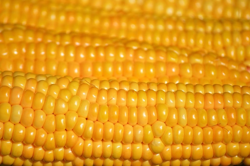 Quinoa